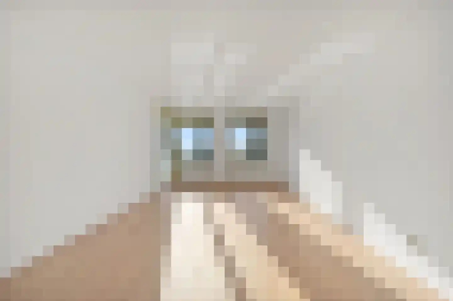 Verheeskade 375 Den Haag thumbnail 8