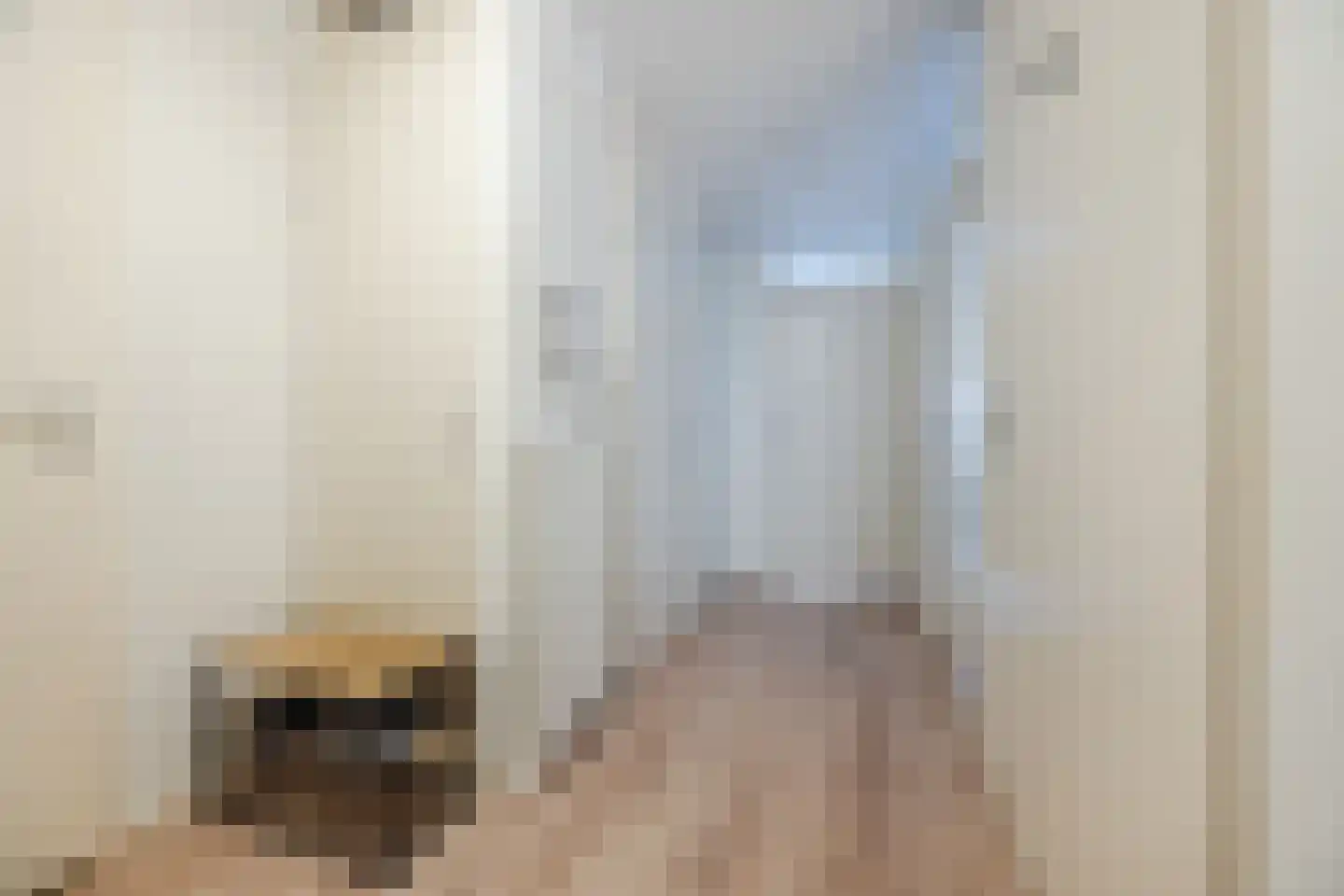 Verheeskade 447 Den Haag thumbnail 11