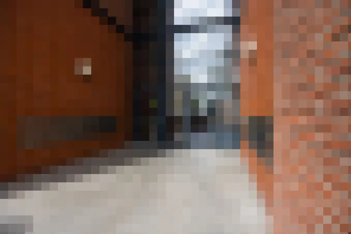 Verheeskade 447 Den Haag thumbnail 6