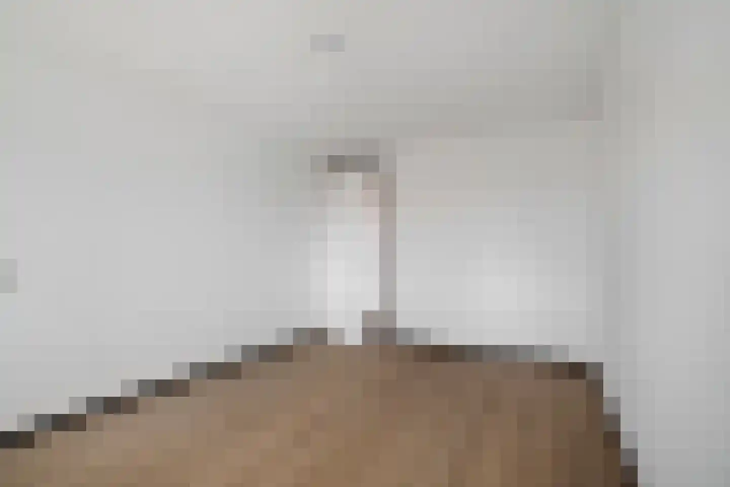 Verheeskade 467 Den Haag thumbnail 11
