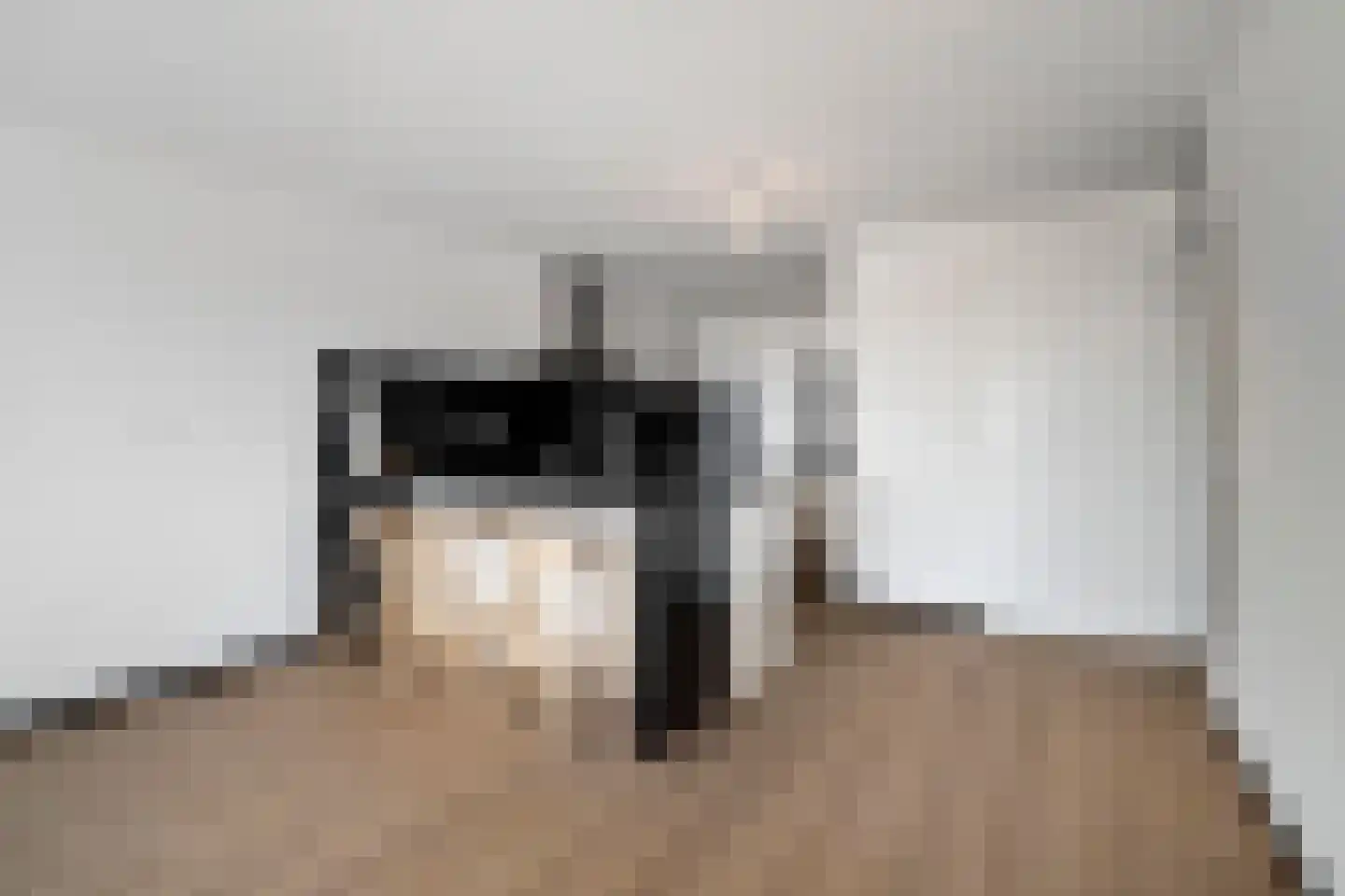 Verheeskade 467 Den Haag thumbnail 5