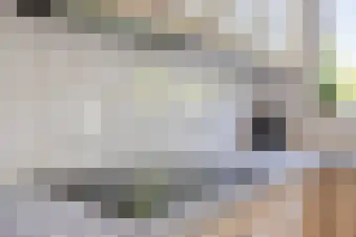 Verheijen van Estveltstraat 1 Boxmeer thumbnail 18
