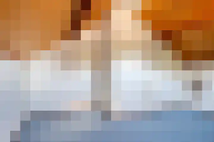 Verheijen van Estveltstraat 1 Boxmeer thumbnail 33