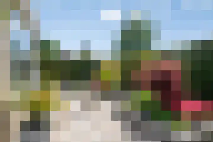 Verheijen van Estveltstraat 1 Boxmeer thumbnail 36