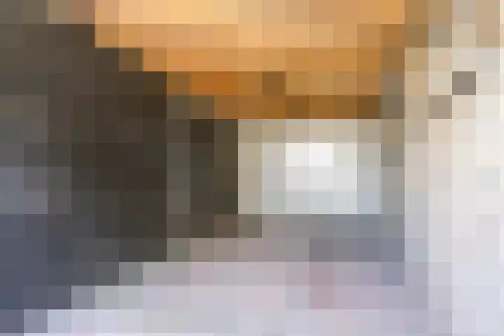 Verheijen van Estveltstraat 1 Boxmeer thumbnail 39
