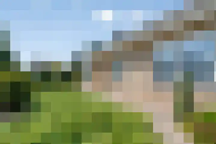 Verheijen van Estveltstraat 1 Boxmeer thumbnail 4
