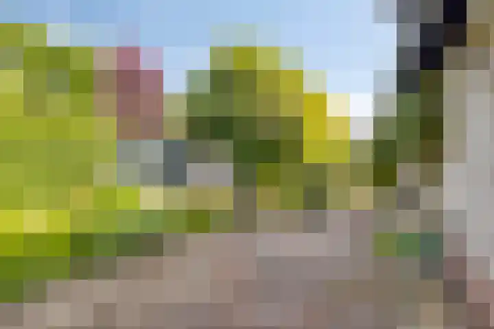 Verheijen van Estveltstraat 3 Boxmeer thumbnail 20