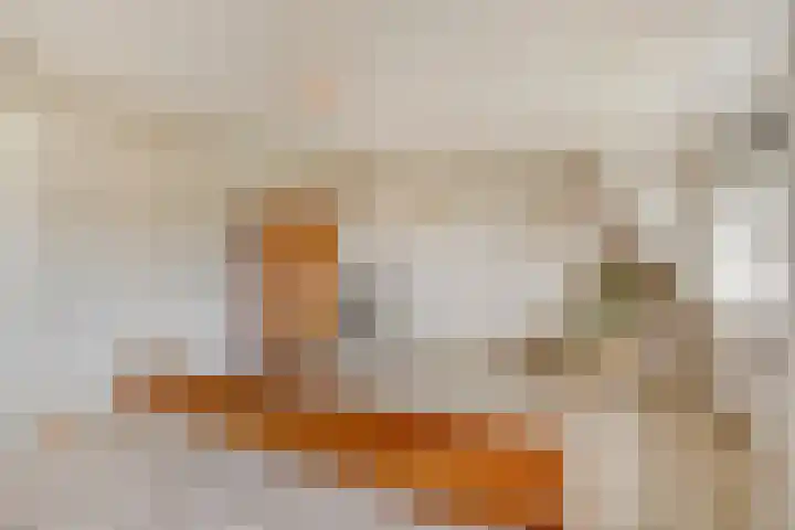 Verheijen van Estveltstraat 3 Boxmeer thumbnail 22