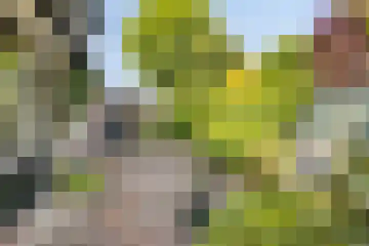 Verheijen van Estveltstraat 3 Boxmeer thumbnail 25