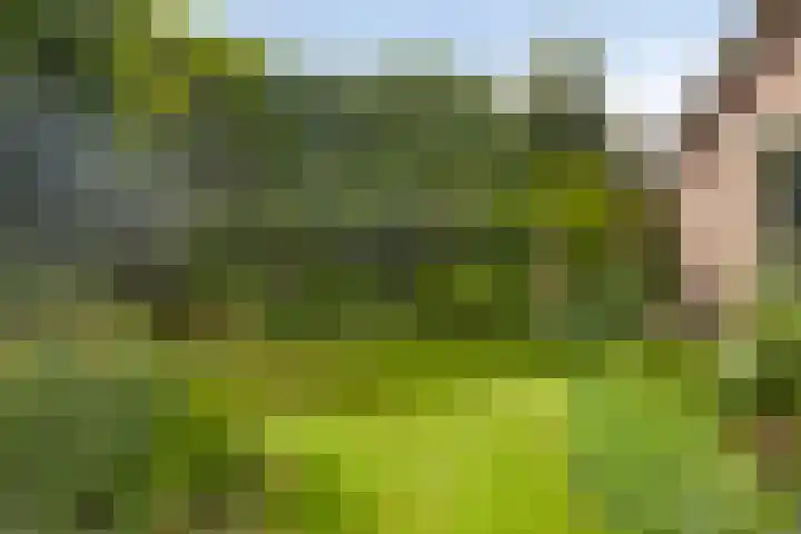 Verheijen van Estveltstraat 3 Boxmeer thumbnail 27