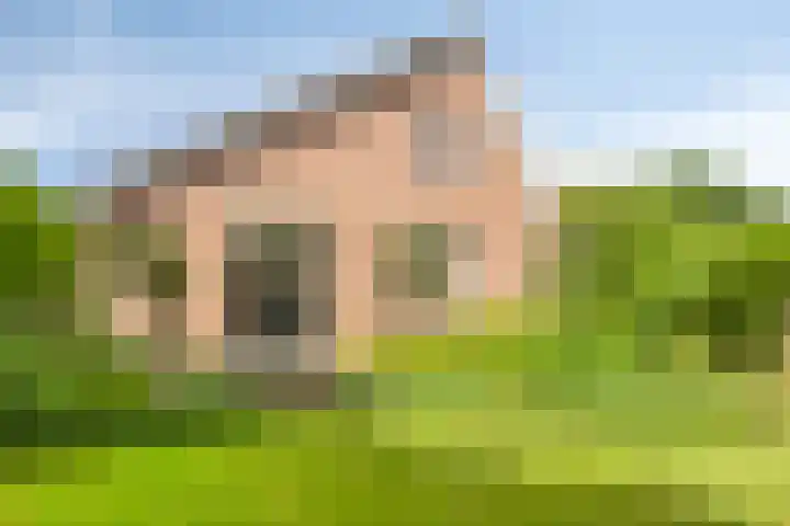 Verheijen van Estveltstraat 3 Boxmeer thumbnail 28