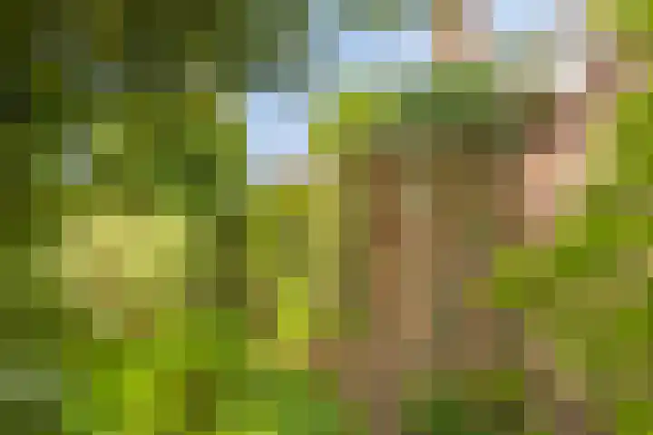 Verheijen van Estveltstraat 3 Boxmeer thumbnail 29