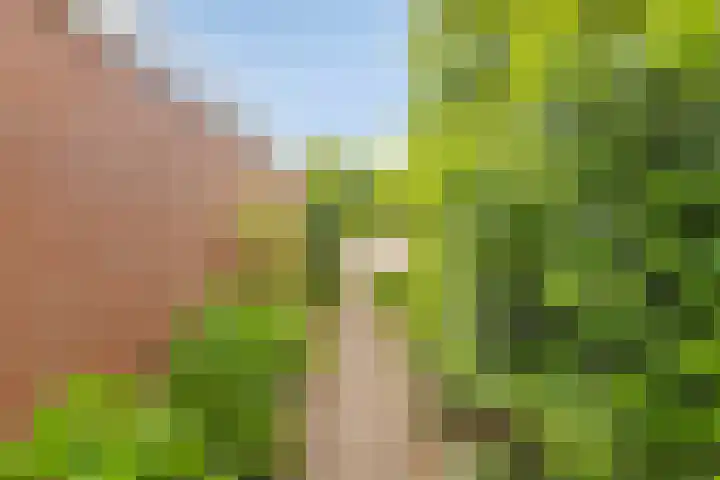 Verheijen van Estveltstraat 3 Boxmeer thumbnail 30