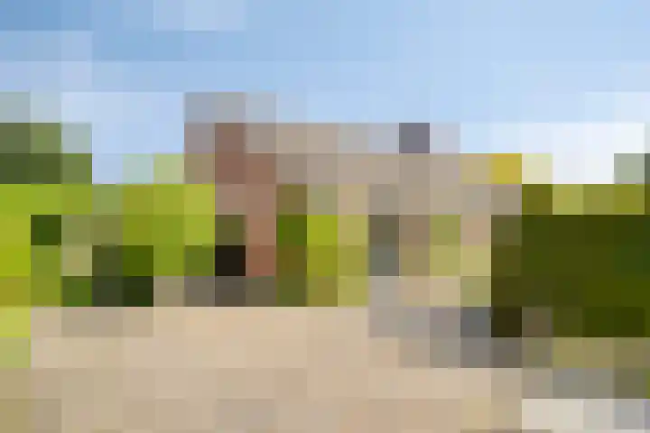 Verheijen van Estveltstraat 3 Boxmeer thumbnail 31