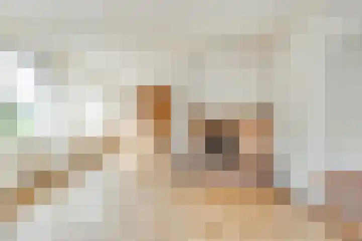 Verheijen van Estveltstraat 3 Boxmeer thumbnail 4