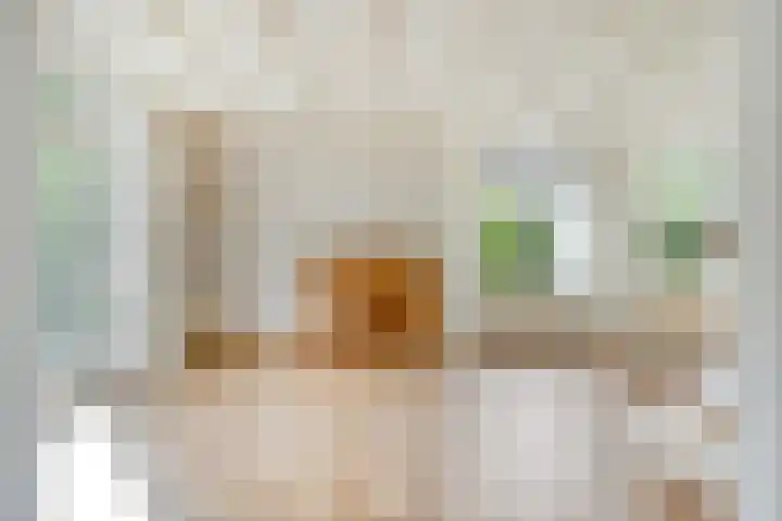 Verheijen van Estveltstraat 3 Boxmeer thumbnail 5
