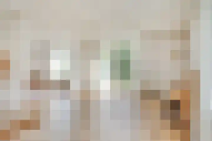 Verheijen van Estveltstraat 3 Boxmeer thumbnail 8