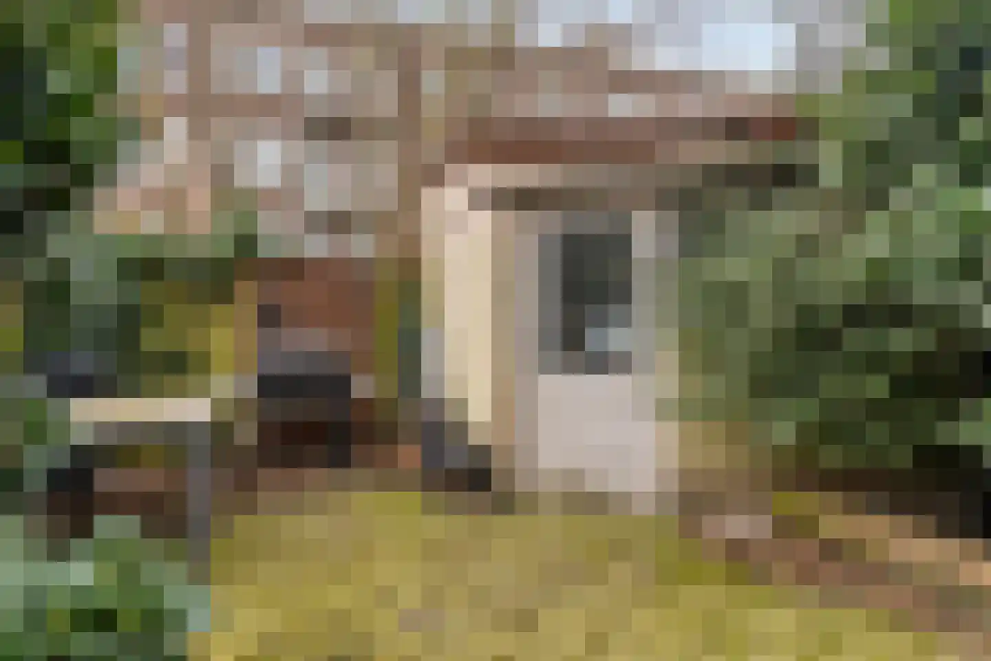 Verheijstraat 143 Vlaardingen thumbnail 19