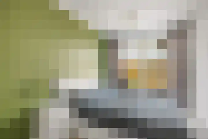 Verheijstraat 24 Vlaardingen thumbnail 15