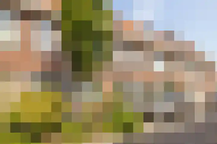 Verheijstraat 24 Vlaardingen thumbnail 25