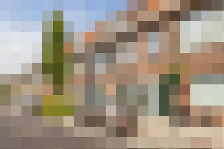 Verheijstraat 24 Vlaardingen thumbnail 26
