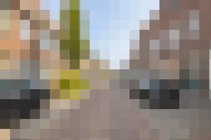 Verheijstraat 24 Vlaardingen thumbnail 27