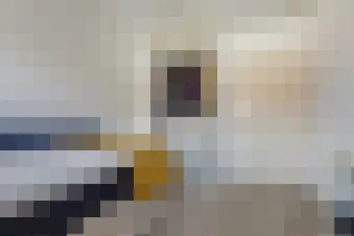 Verheijstraat 25 Vlaardingen thumbnail 36