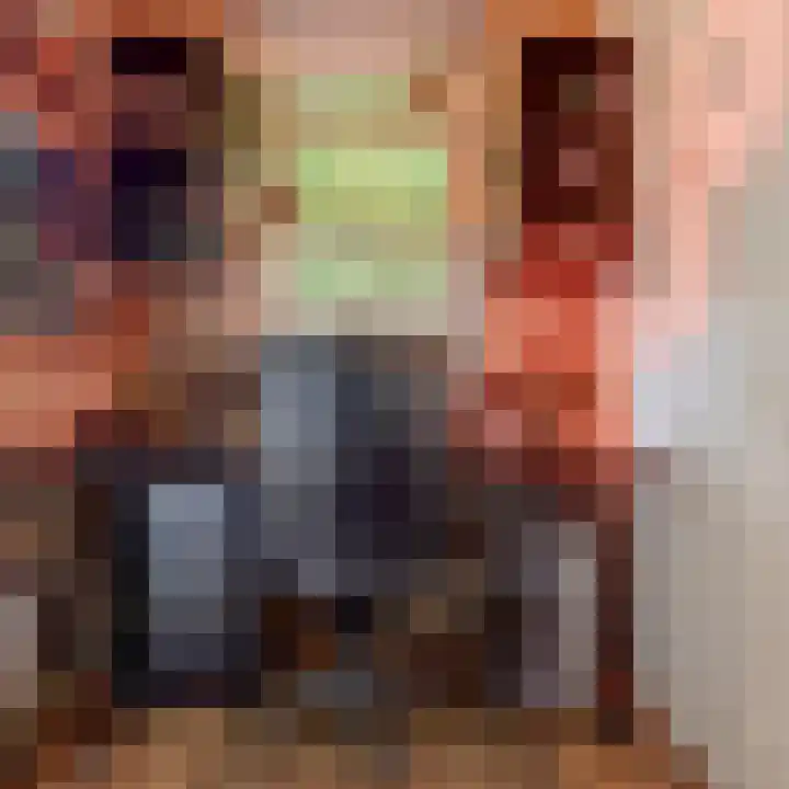 Verheijstraat 25 Vlaardingen thumbnail 8