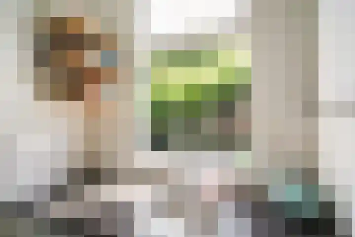 Verheijstraat 31 Vlaardingen thumbnail 19