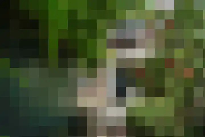 Verheijstraat 31 Vlaardingen thumbnail 21