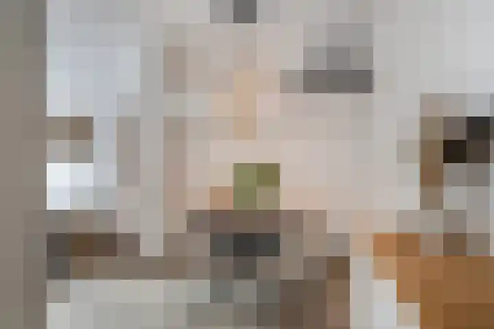 Verheijstraat 37 Vlaardingen thumbnail 10