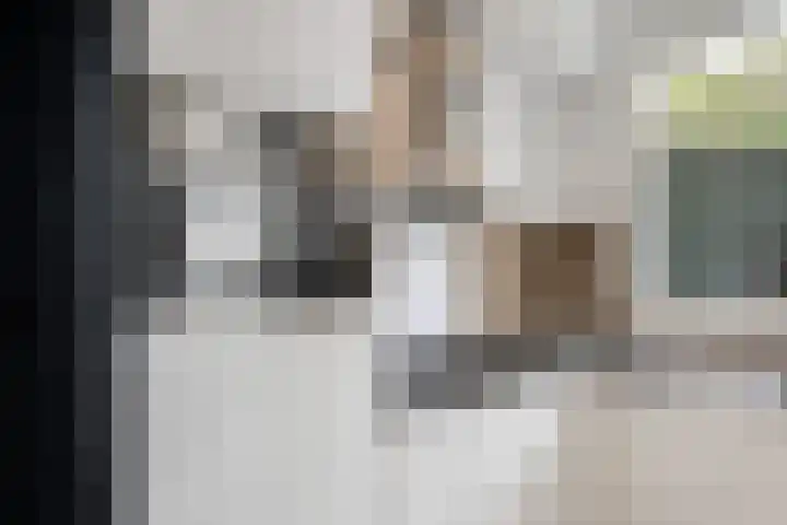 Verheijstraat 37 Vlaardingen thumbnail 18