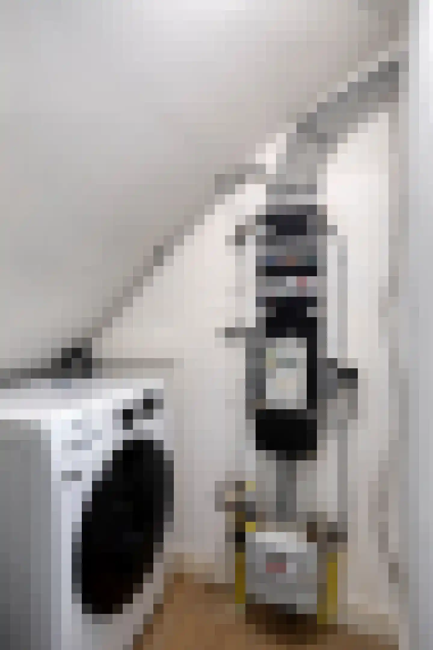 Verheijstraat 38 Vlaardingen thumbnail 25