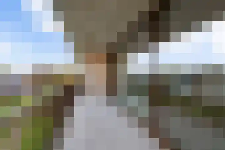 Verheijstraat 4 29 Didam thumbnail 10