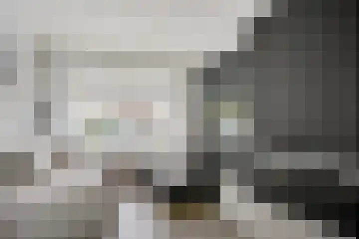 Verheijstraat 7 Tilburg thumbnail 4