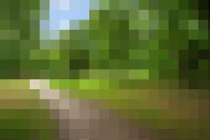 Verheijstraat 7 Tilburg thumbnail 47