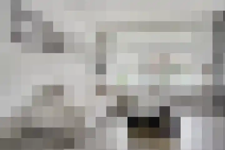Verheijstraat 7 Tilburg thumbnail 7