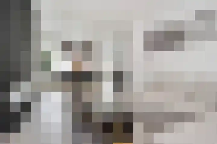 Verheijstraat 7 Tilburg thumbnail 8