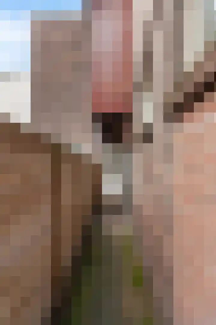 Verheijstraat 8 Vlaardingen thumbnail 17