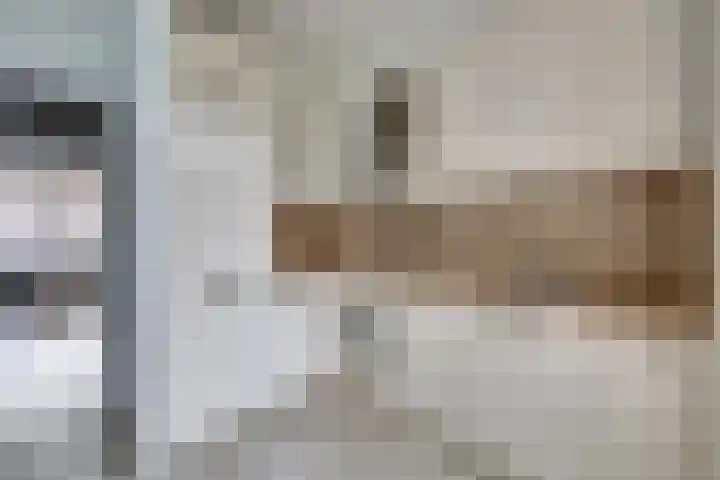 Verheijstraat 89 Vlaardingen thumbnail 12