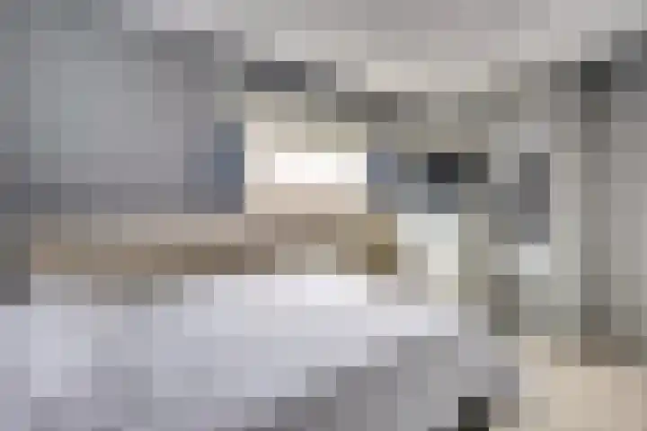Verheijstraat 89 Vlaardingen thumbnail 21