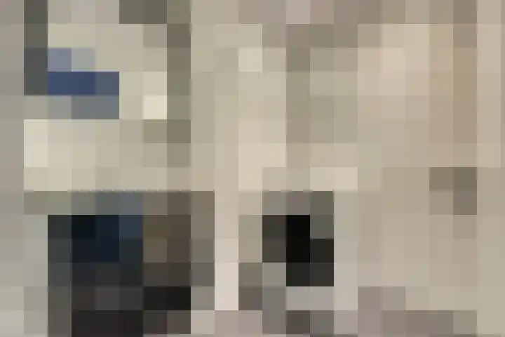 Verheijstraat 89 Vlaardingen thumbnail 26