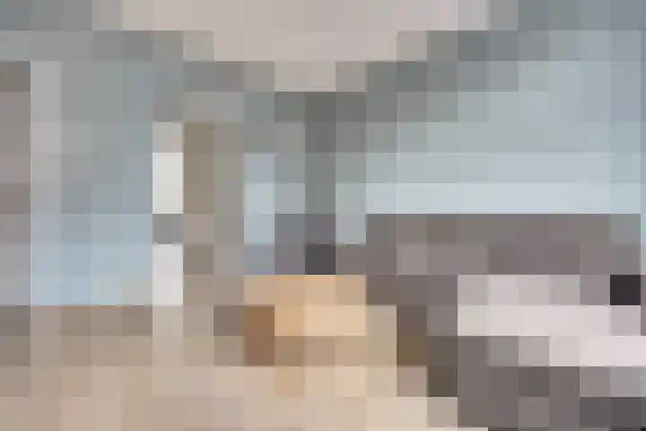 Verheijstraat 89 Vlaardingen thumbnail 4