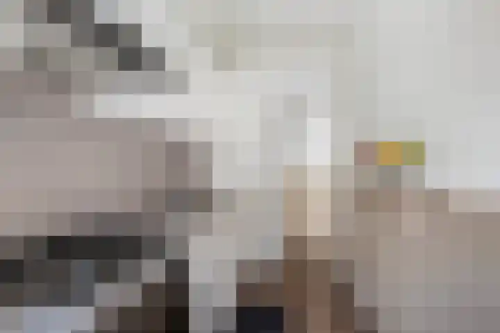 Verheijstraat 93 Vlaardingen thumbnail 12