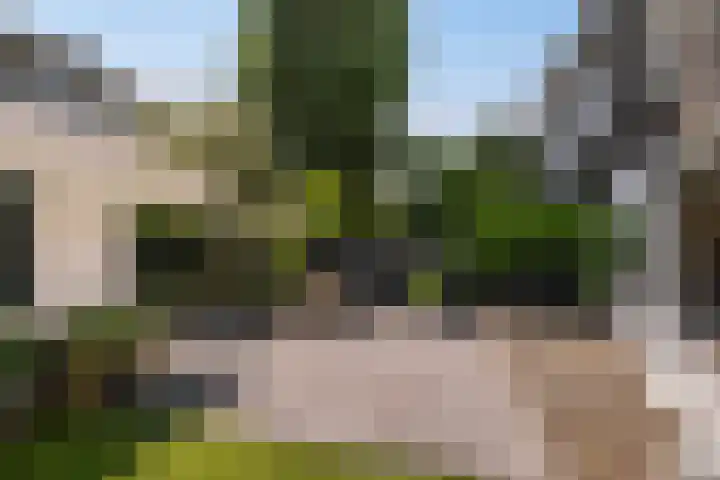 Verheijstraat 93 Vlaardingen thumbnail 14