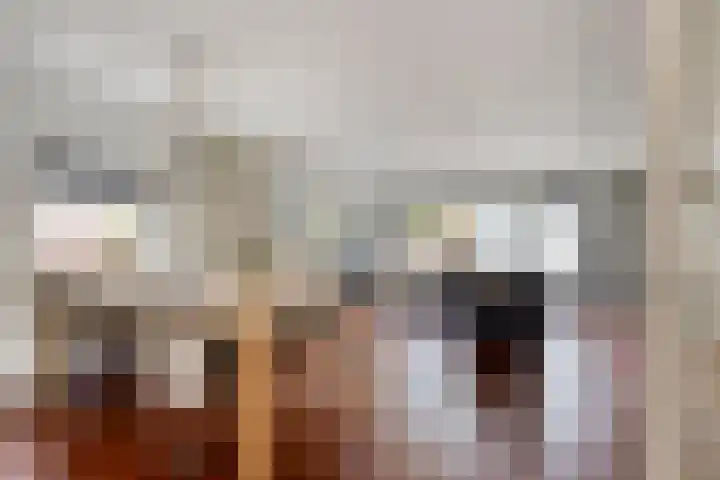 Verheullaan 118 Bergschenhoek thumbnail 12
