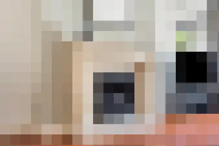 Verheullaan 118 Bergschenhoek thumbnail 13