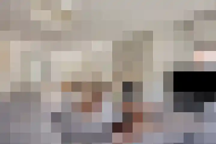 Verheullaan 118 Bergschenhoek thumbnail 15