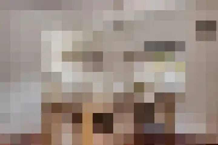 Verheullaan 118 Bergschenhoek thumbnail 16