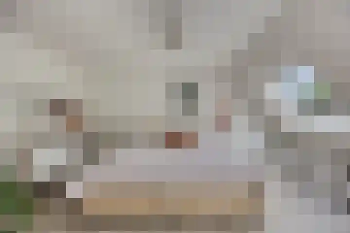 Verheullaan 118 Bergschenhoek thumbnail 24